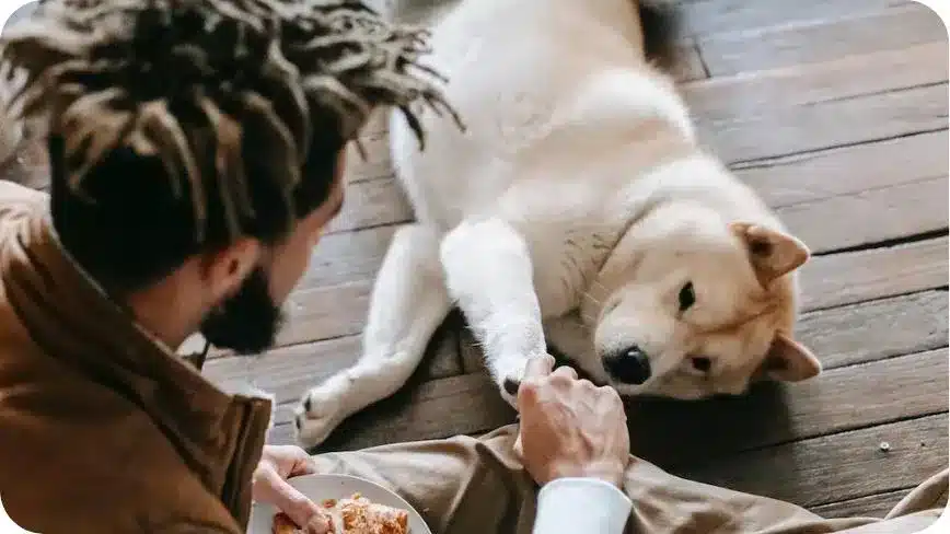 A Dog Is Shaking Hands With A Man