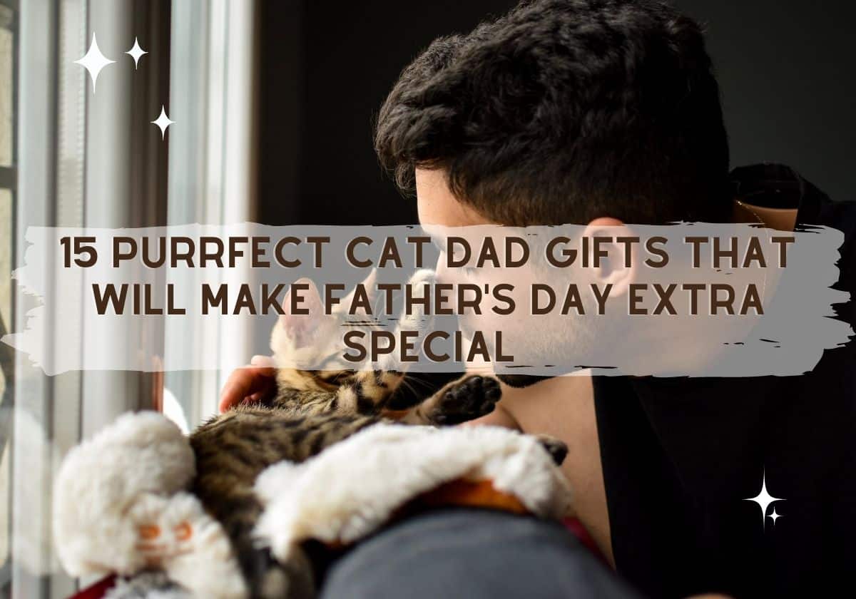 15 Purrfect Cat Dad Gifts That Will Make Father's Day Extra Special