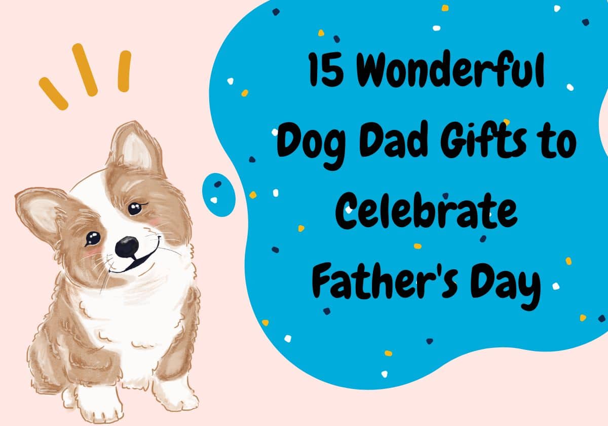 15 Wonderful Dog Dad Gifts to Celebrate Father's Day