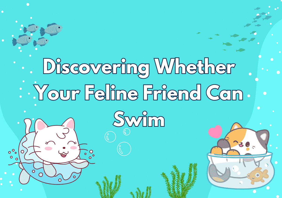 Unlocking the Mystery of Can Cats Swim