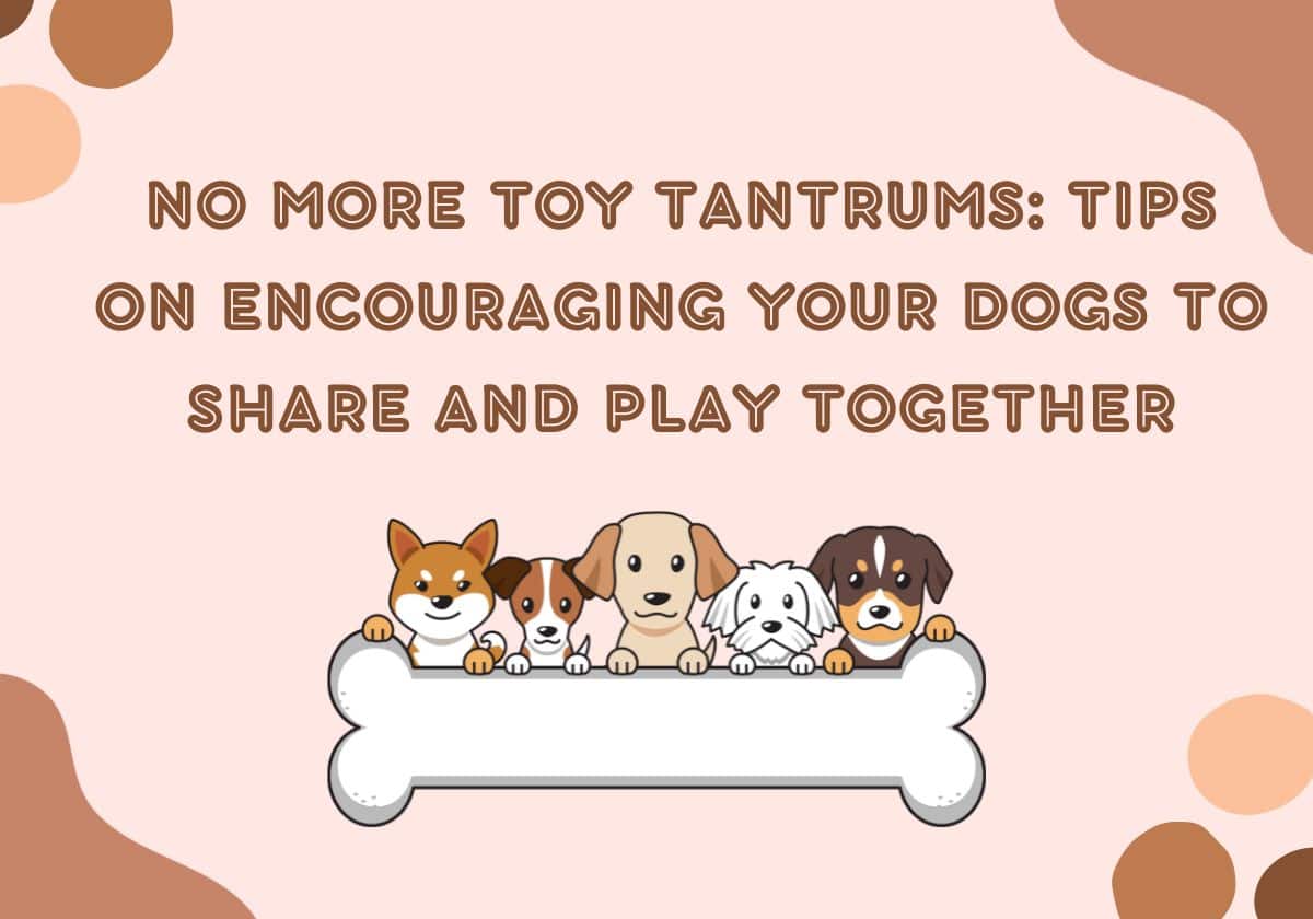 8 Effective Tips on How to Get Dogs to Share Toys and Play Together