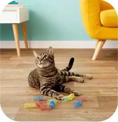 Colorful Springs Cat Toys - Best Cat Toys | Pawcool ™