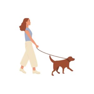 Exercises For Lab Dogs - Labrador Retriever | Pawcool ™