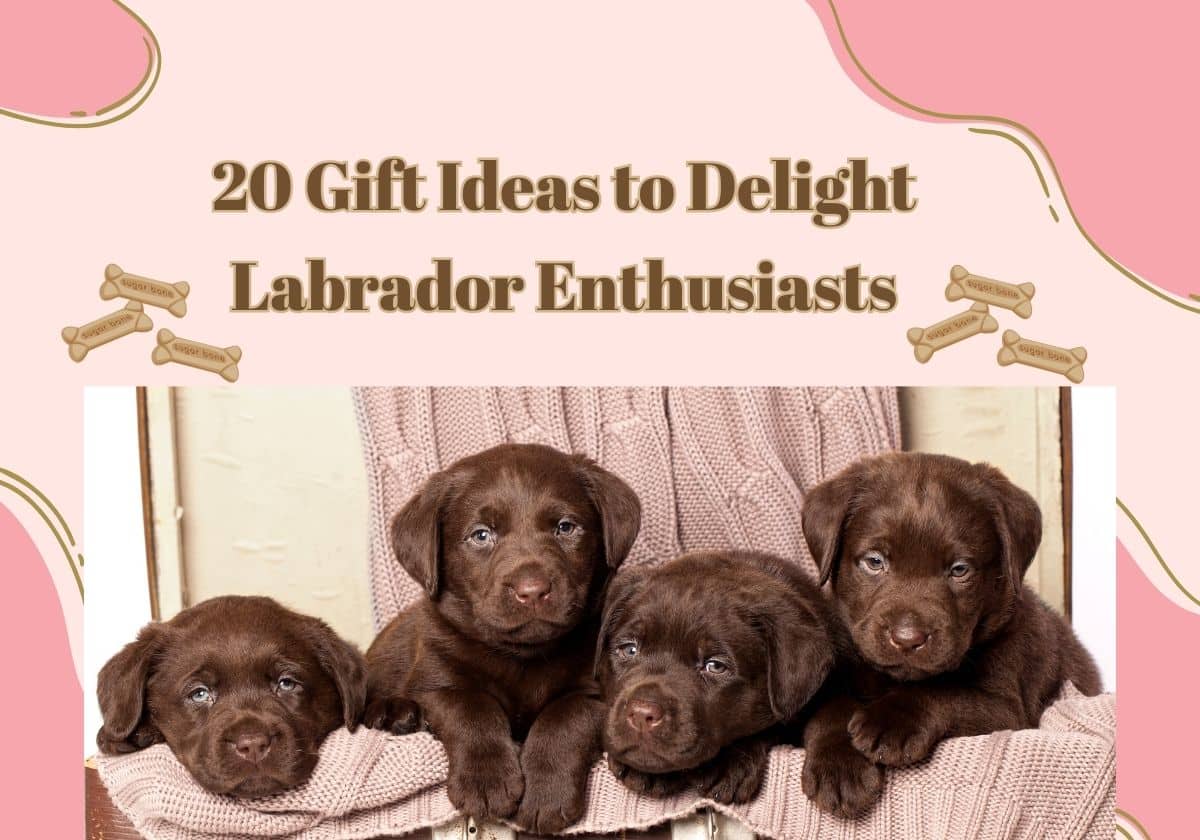 Gifts for Labrador Lovers 20 Gift Ideas for Lab Enthusiasts