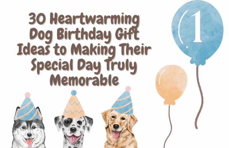 Heartwarming Dog Birthday Gift Ideas to Making Their Special Day Truly Memorable
