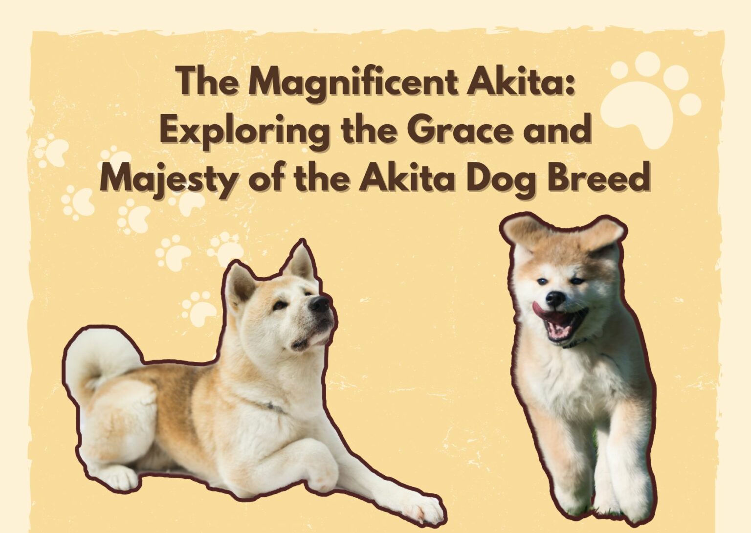 The Magnificent Akita Exploring the Grace and Majesty of the Akita Dog Breed