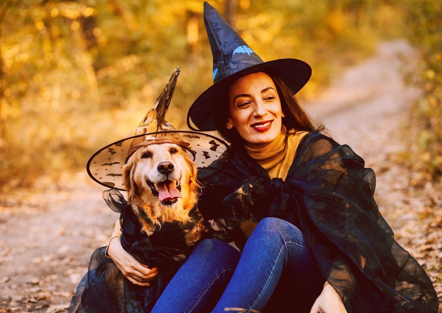 Capture The Memories With A Photo Booth For Dogs - Halloween Party For Dogs | Pawcool ™