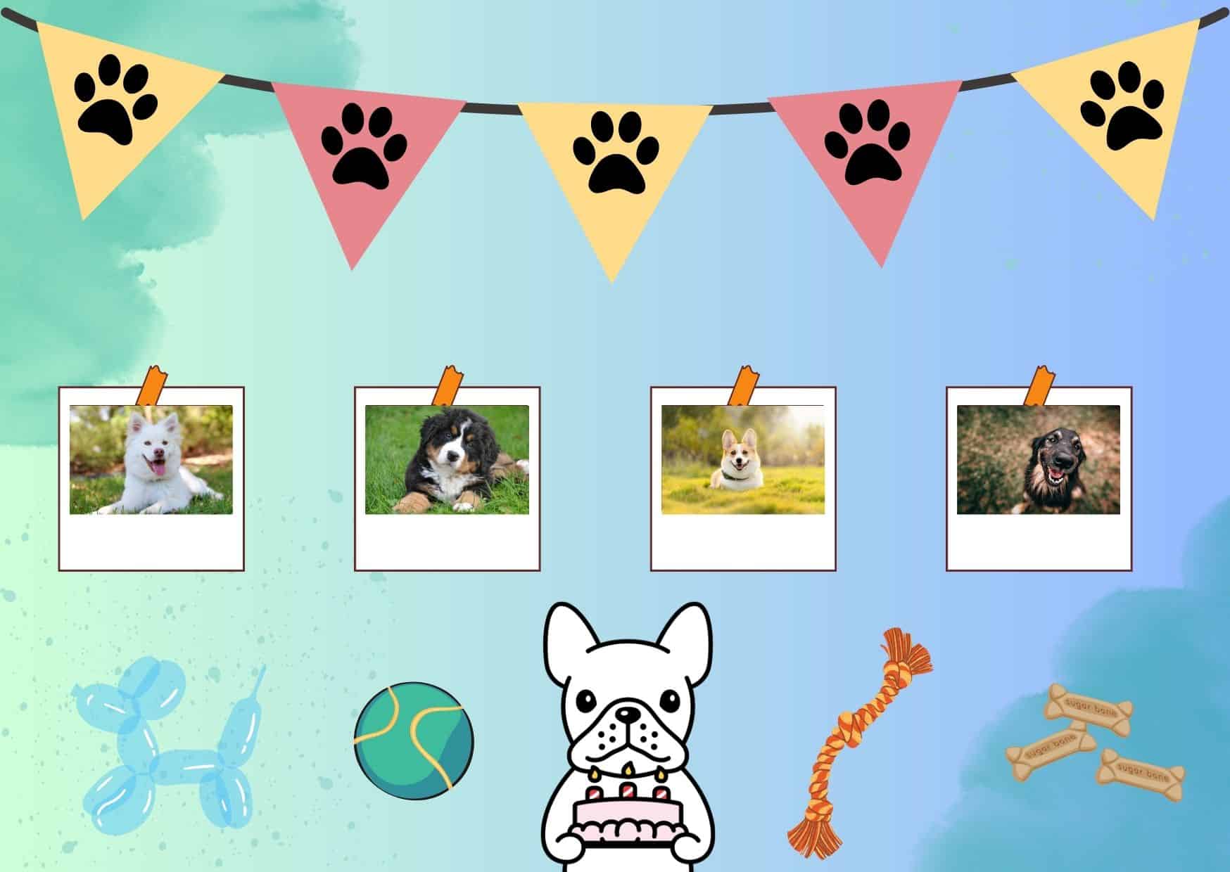 Diy Decor Adding A Personal Touch - How To Celebrate Dogs Birthday | Pawcool ™
