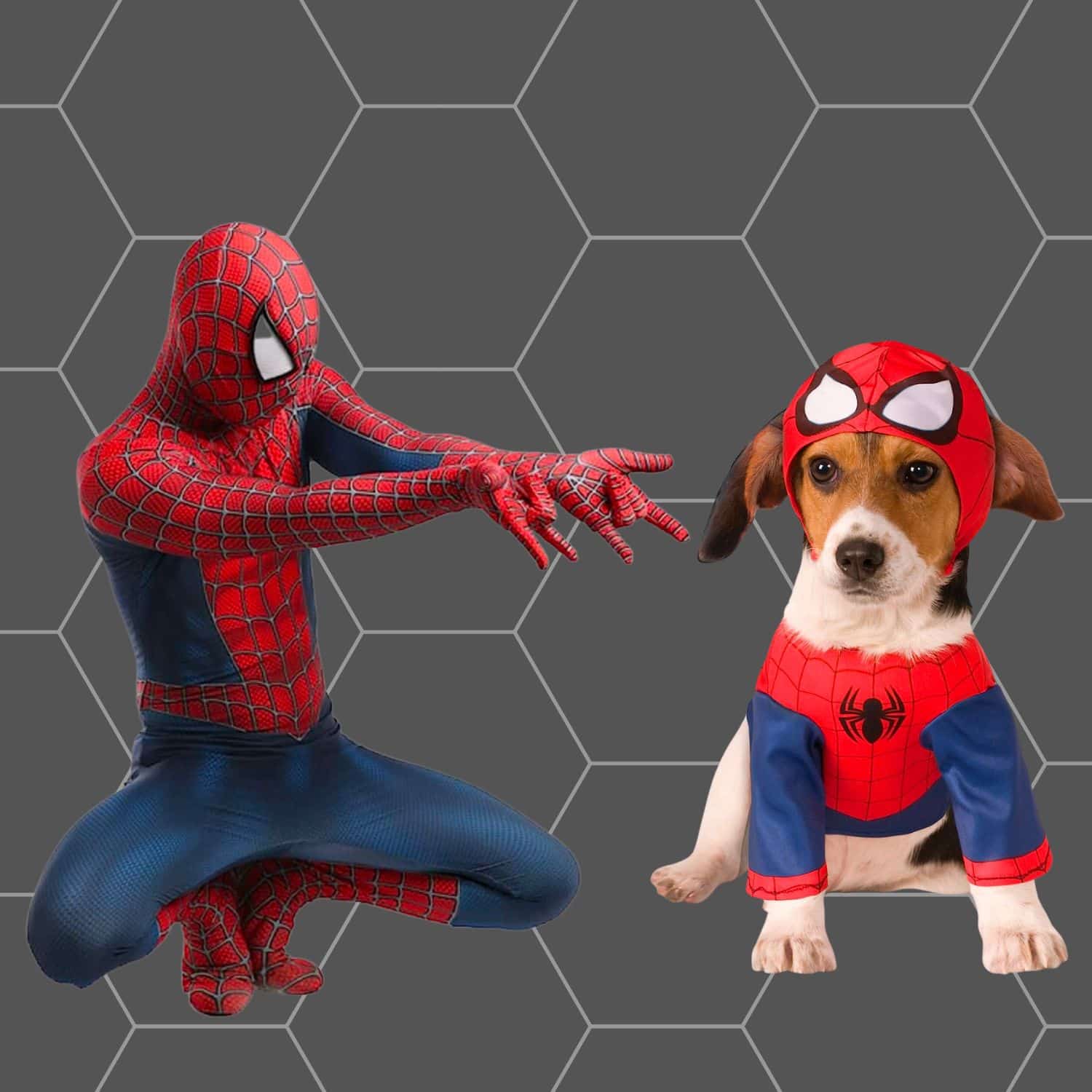 Dog and owner halloween costumes Spiderman - dog Christmas ornaments | PawCool ™