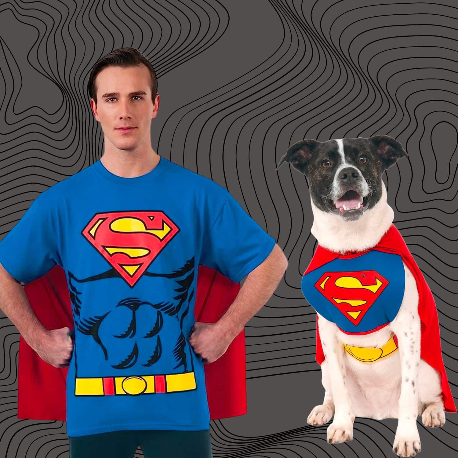 Dog And Owner Halloween Costumes Superman - Dog And Owner Halloween Costumes | Pawcool ™