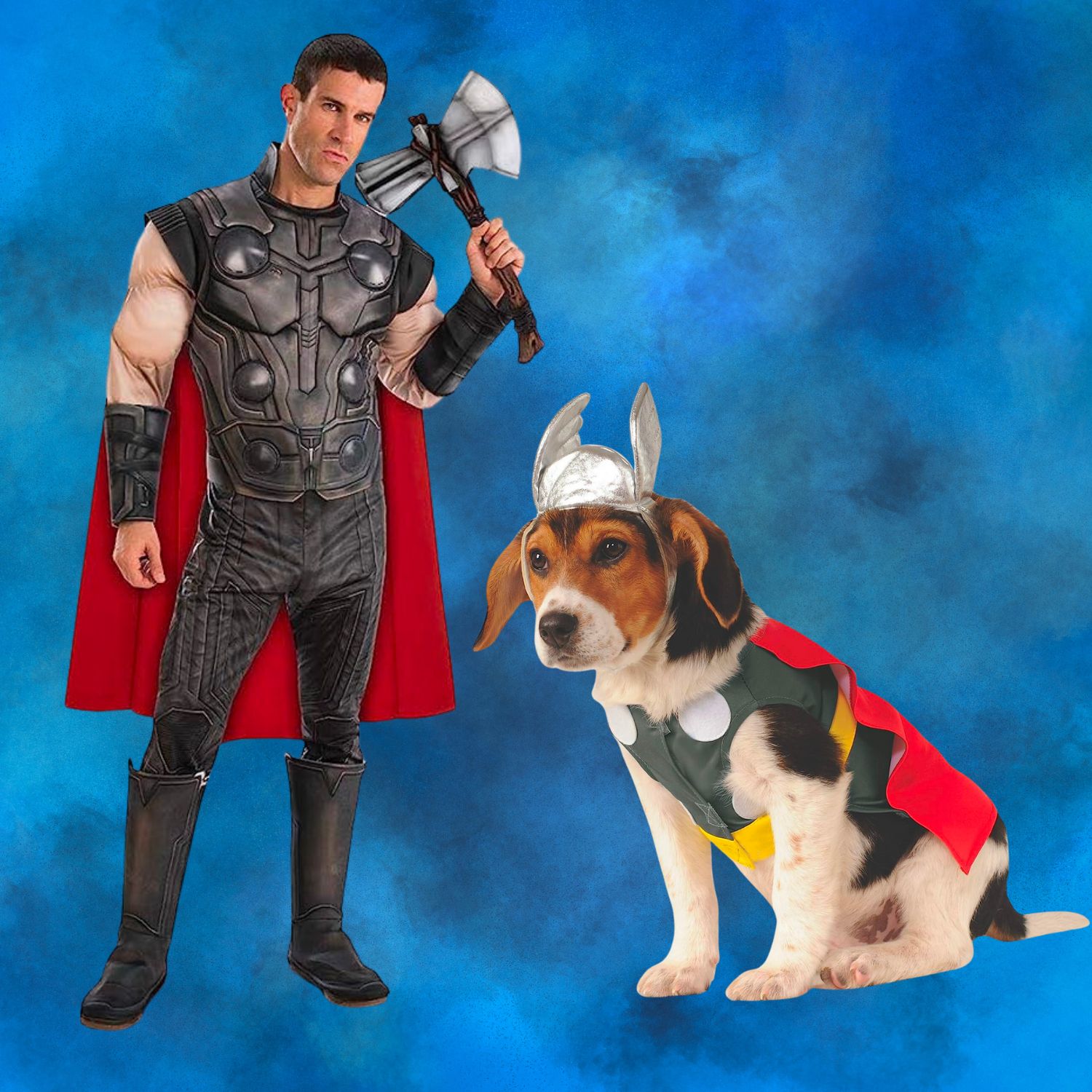 Dog and owner halloween costumes Thor - dog Christmas ornaments | PawCool ™