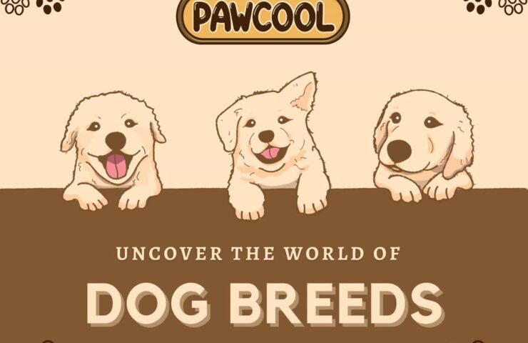 Uncover the world of dog breeds