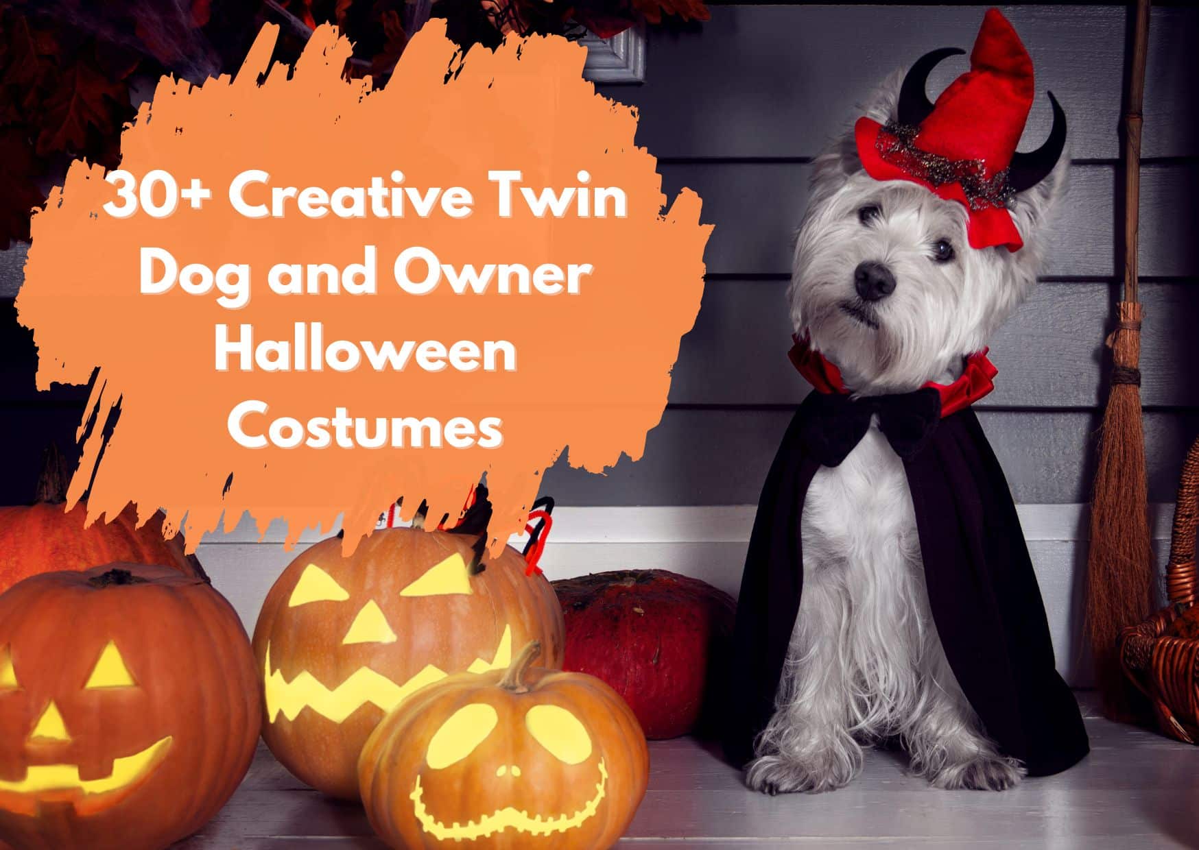 Creative Twin Dog and Owner Halloween Costumes