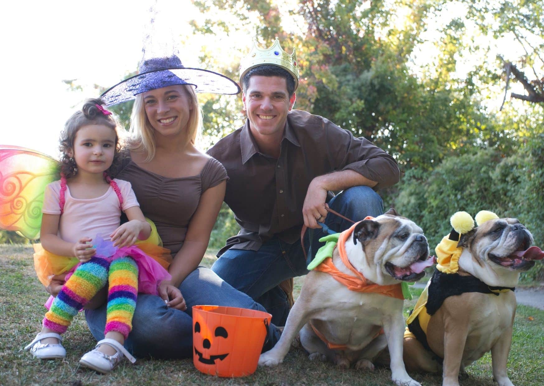 Find The Perfect Location For Your Dog Halloween Bash - Halloween Party For Dogs | Pawcool ™