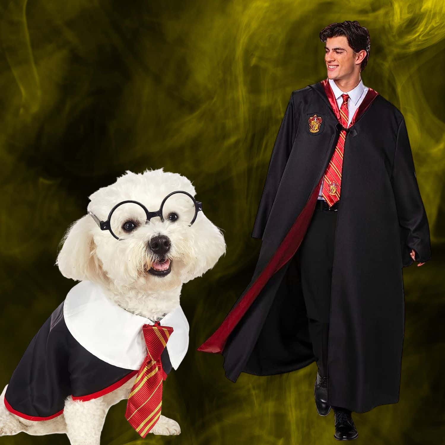Harry Potter - Dog And Owner Halloween Costumes | Pawcool ™