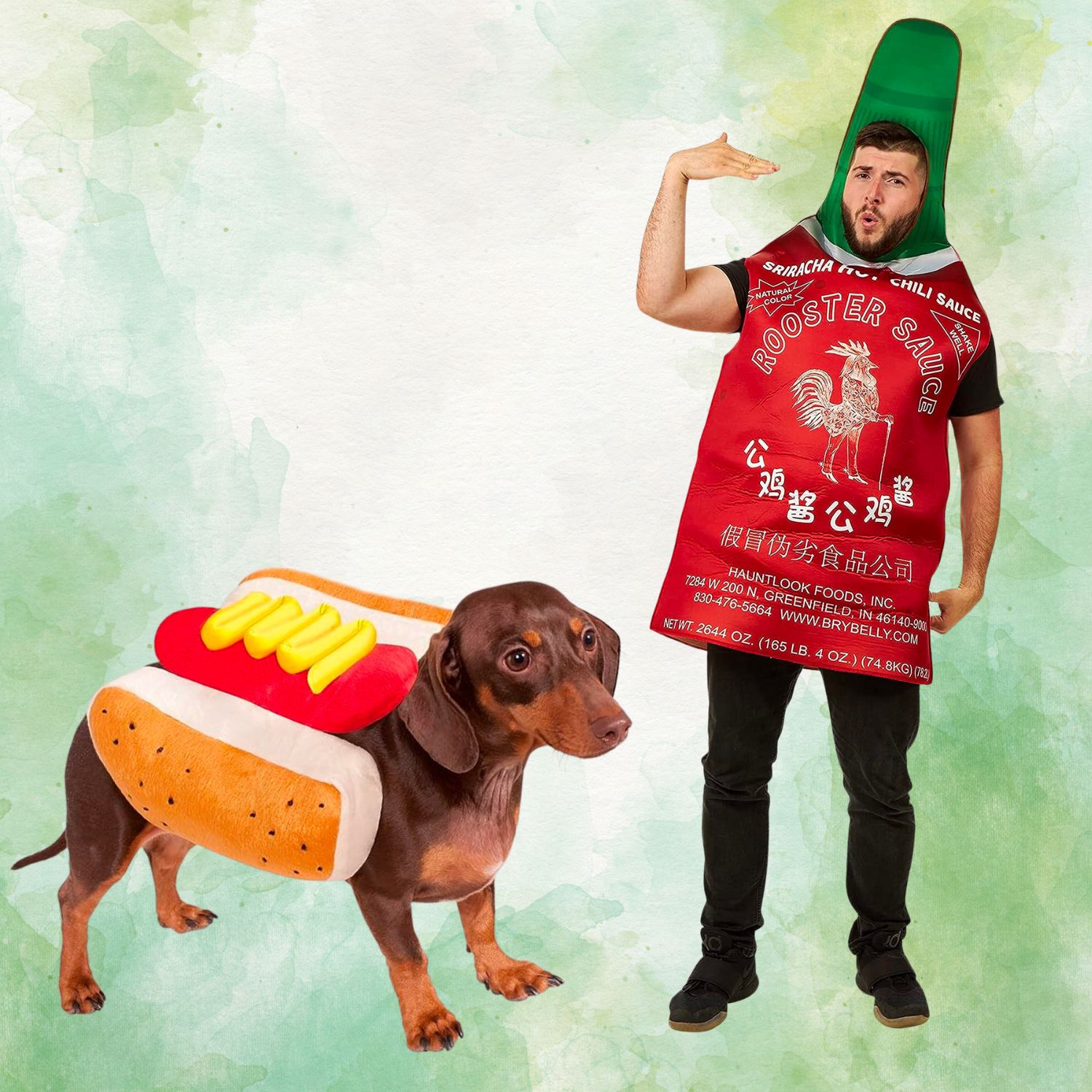 Hot Dog And Chill Sauce - Dog And Owner Halloween Costumes | Pawcool ™