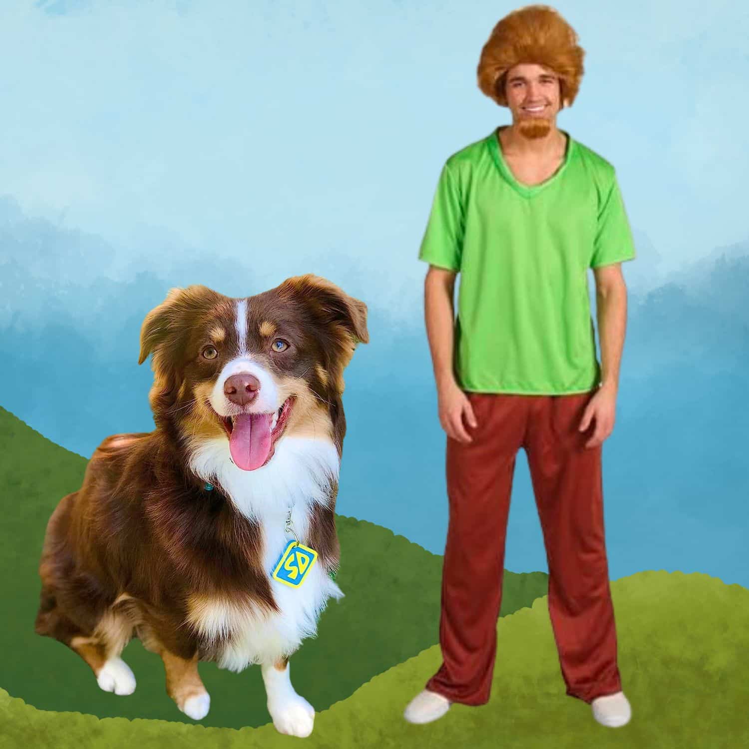 Scooby Doo And Shaggy - Dog And Owner Halloween Costumes | Pawcool ™
