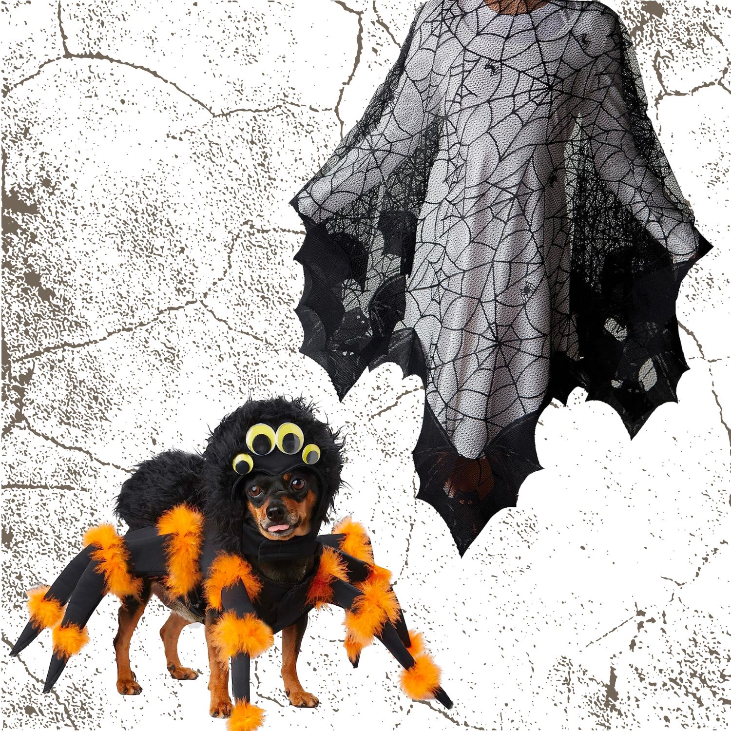 Spider - Dog And Owner Halloween Costumes | Pawcool ™