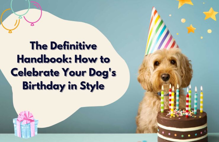 how to celebrate dogs birthday in style