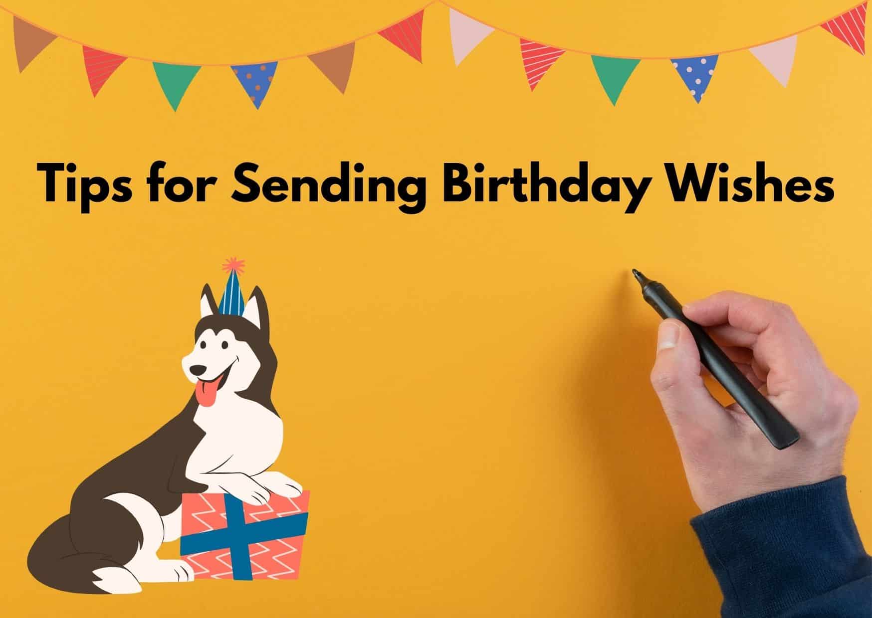 Tips For Sending Birthday Wishes - Birthday Wishes For Dog Lovers | Pawcool ™