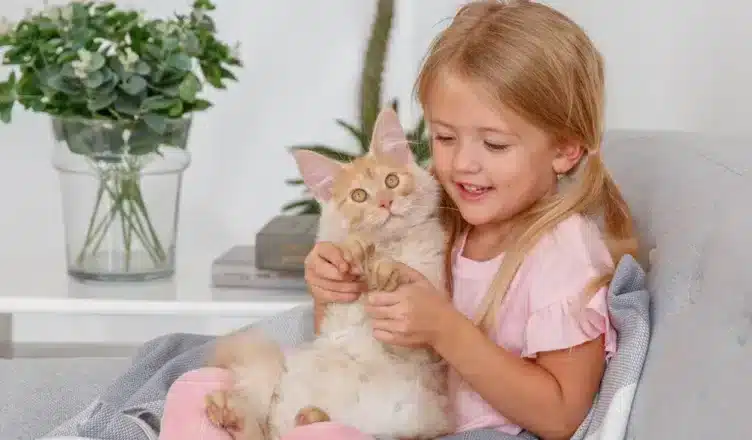 Main Coon Cats Good With Children