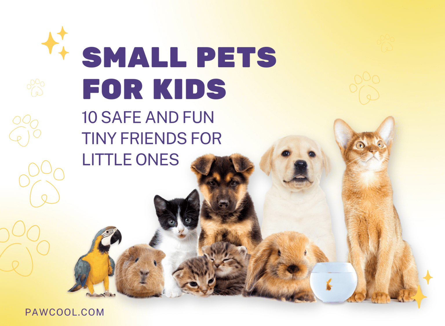 10 Safe and Fun Small Pets for kids