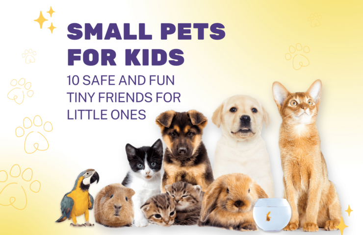 10 Safe and Fun Small Pets for kids
