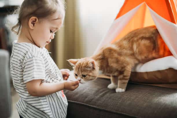 Children With Small Pets, Cats, Small Pets For Kids