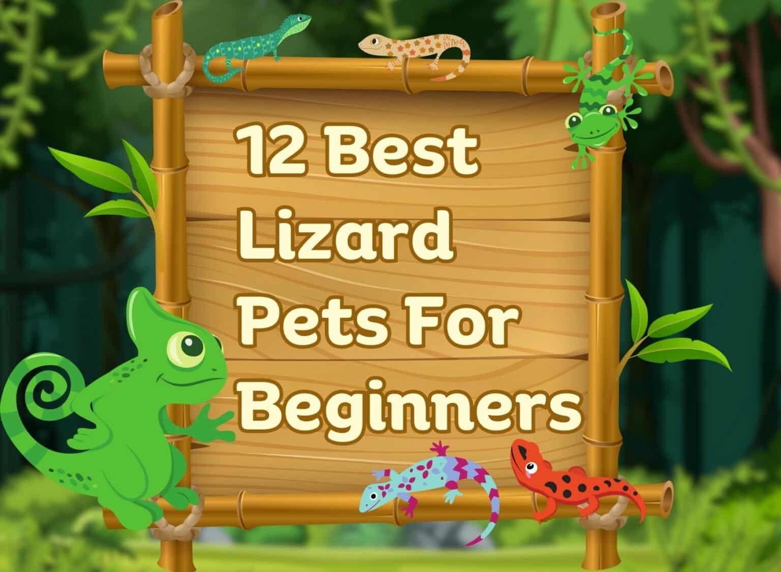 12 best lizard pets