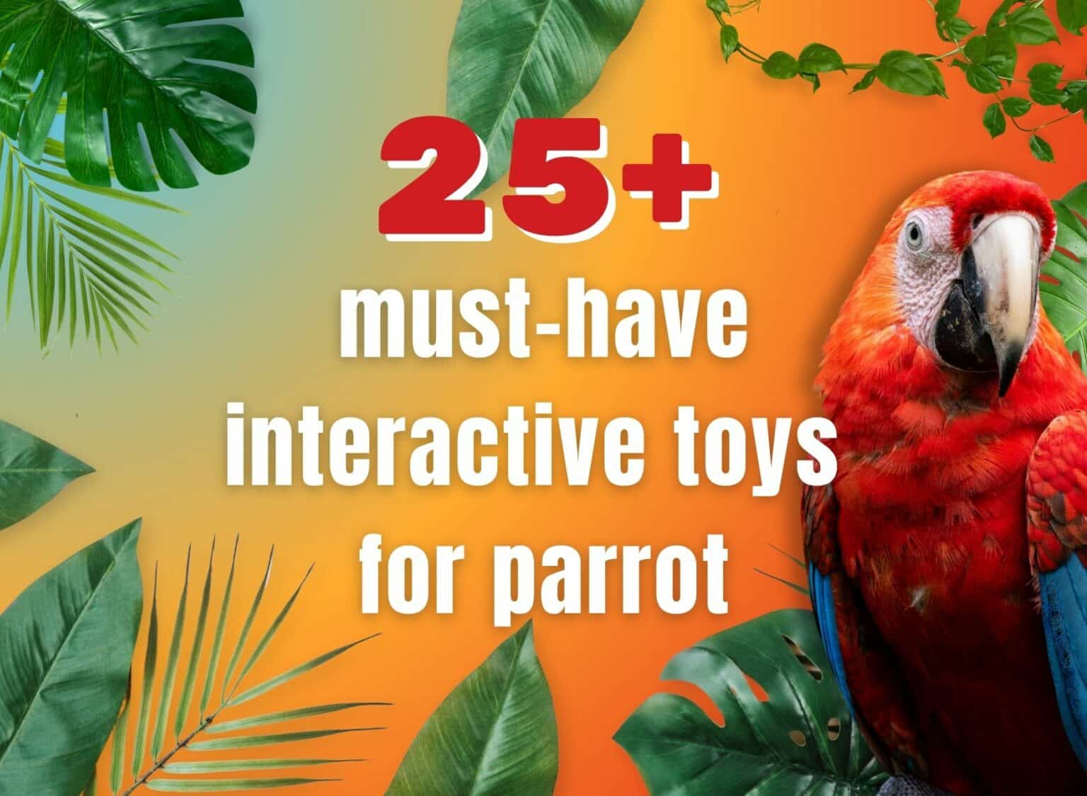 more than 25 must have interactive toys for . parrot (2)