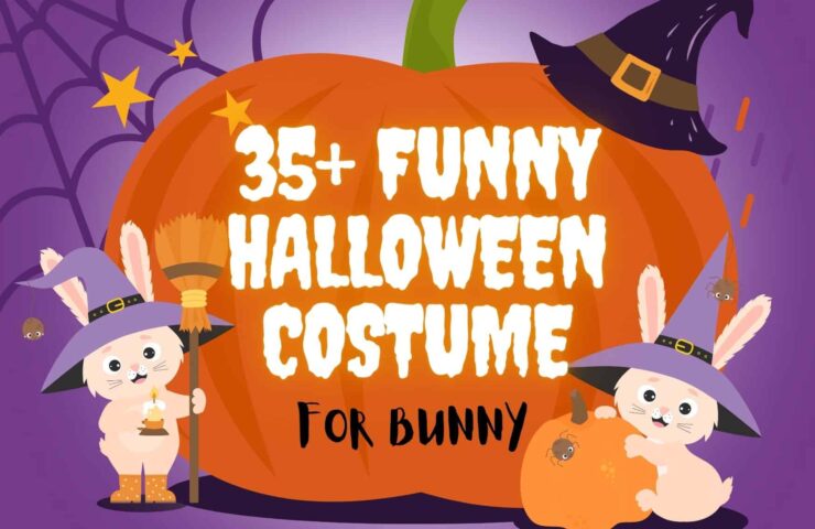 Funny Halloween Costumes For Bunny