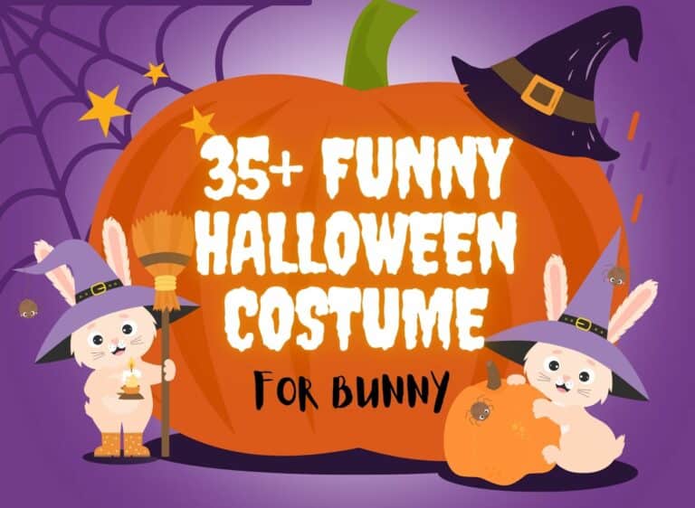 Funny Halloween Costumes For Bunny