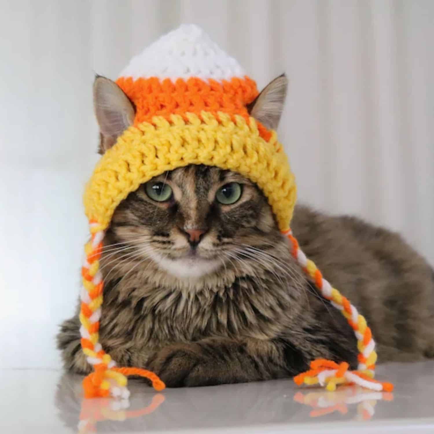 Candy Corn Cat Costume