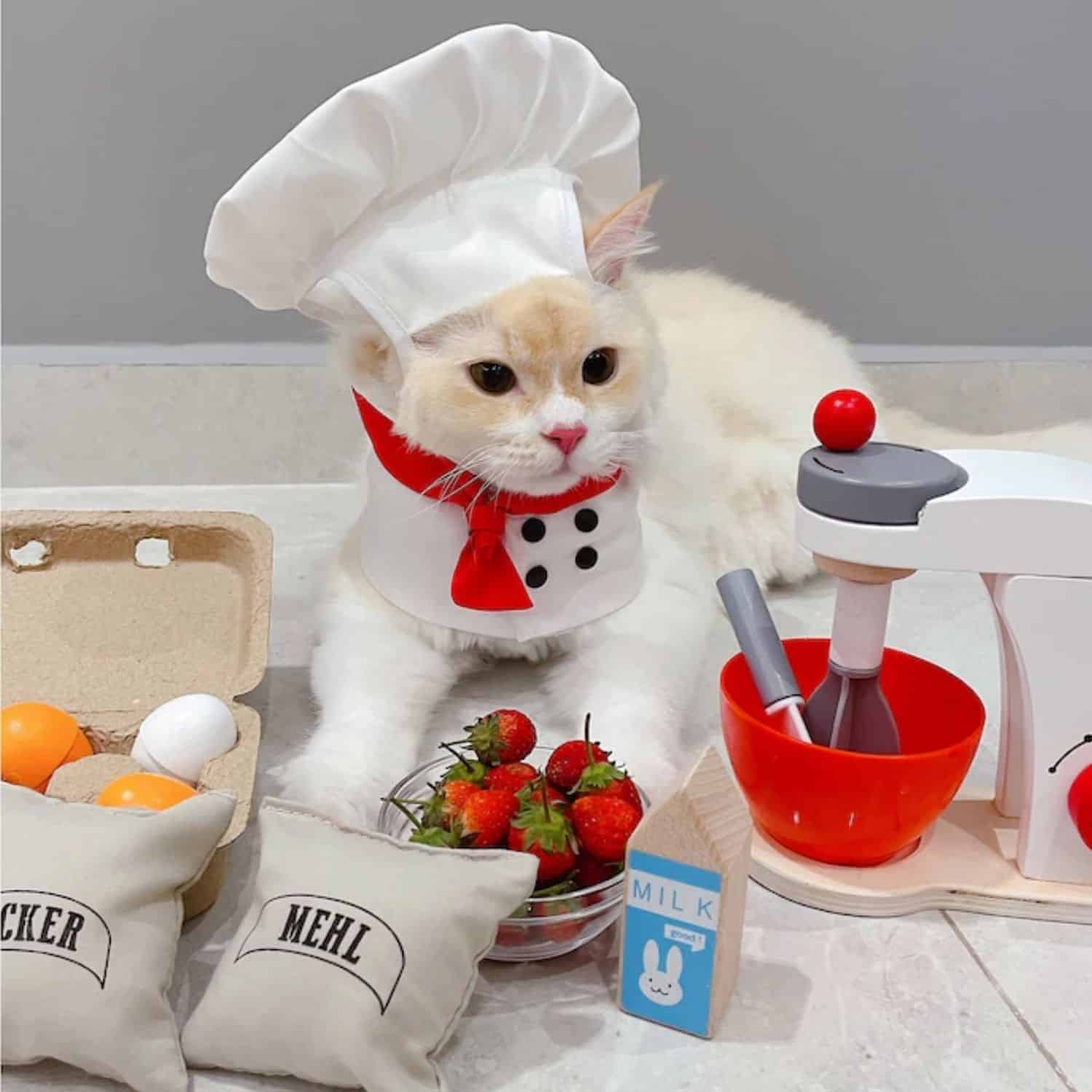Cat Chef Costume