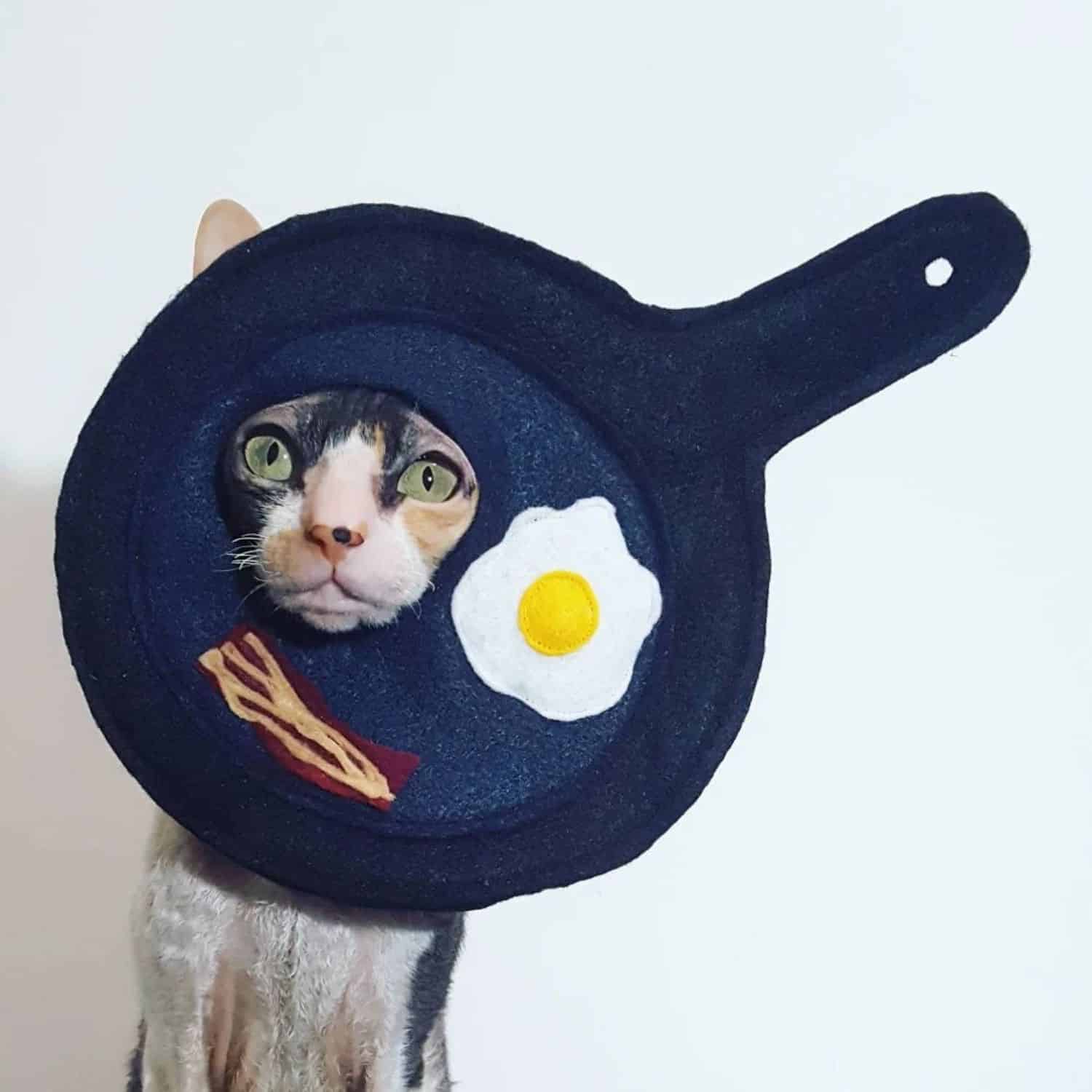 Cat Costume Breakfast Pan Egg