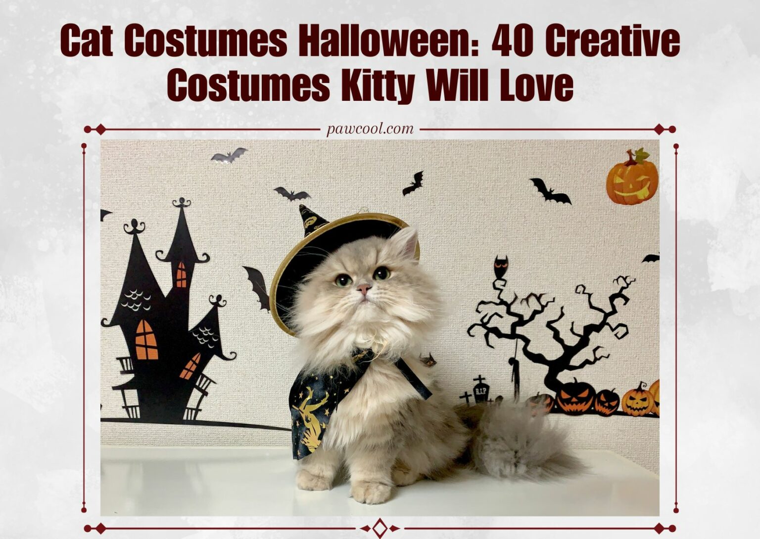 Cat Costumes Halloween: 40 Creative Costumes Kitty Will Love