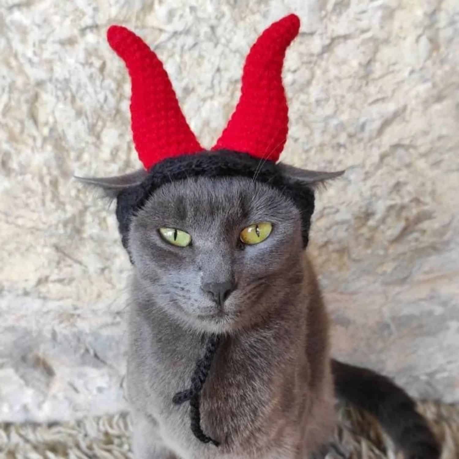 Cat Devil Costume