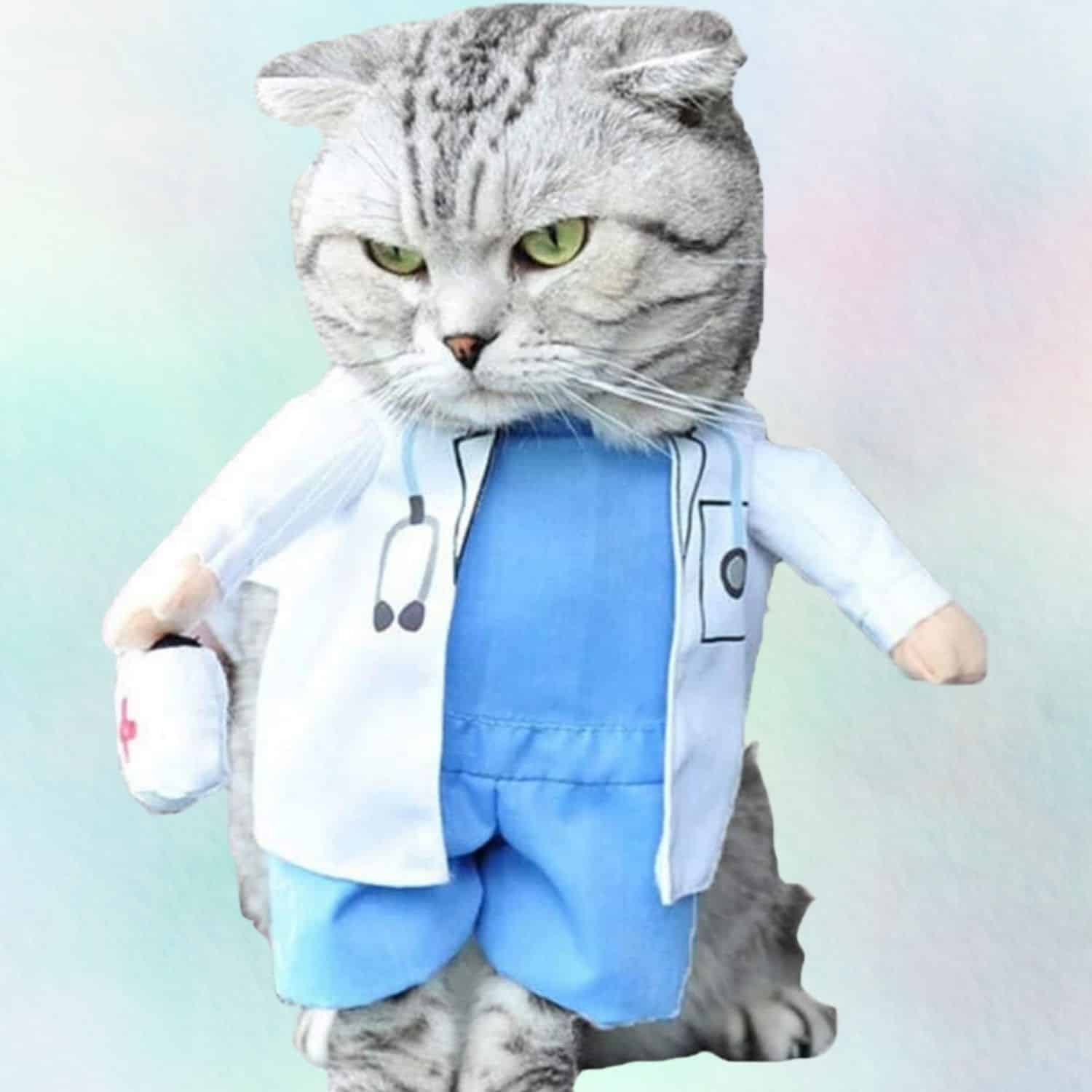 Cat Doctor Costume