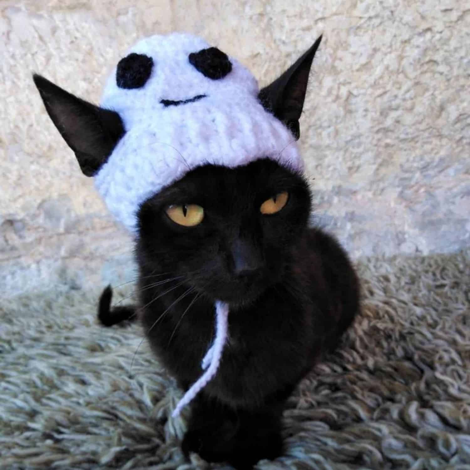 Cat Ghost Costume