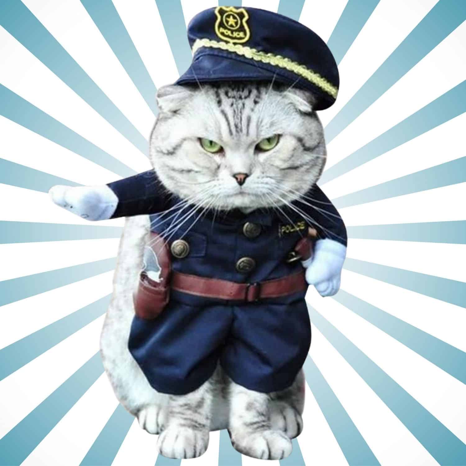 Cat Policeman Costume