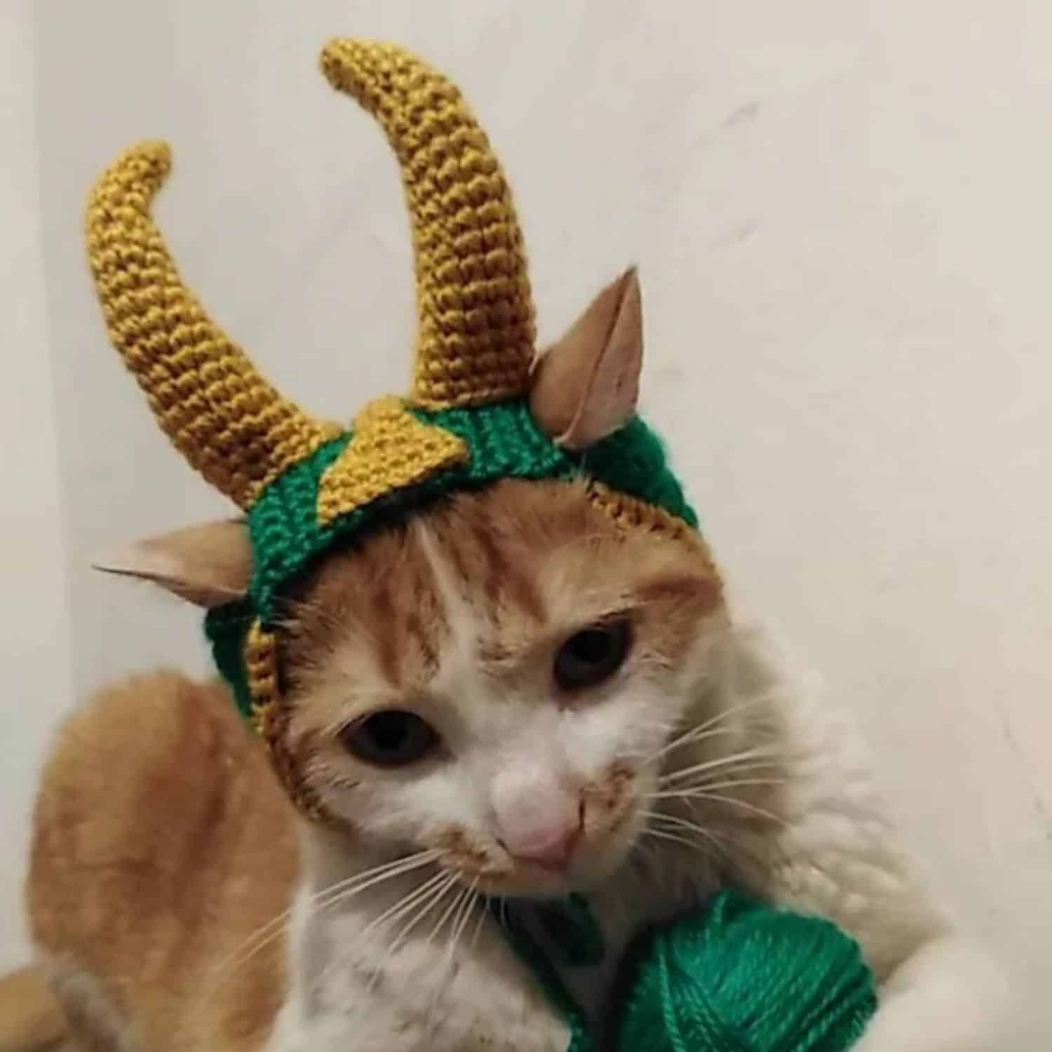 Cat Viking Hat