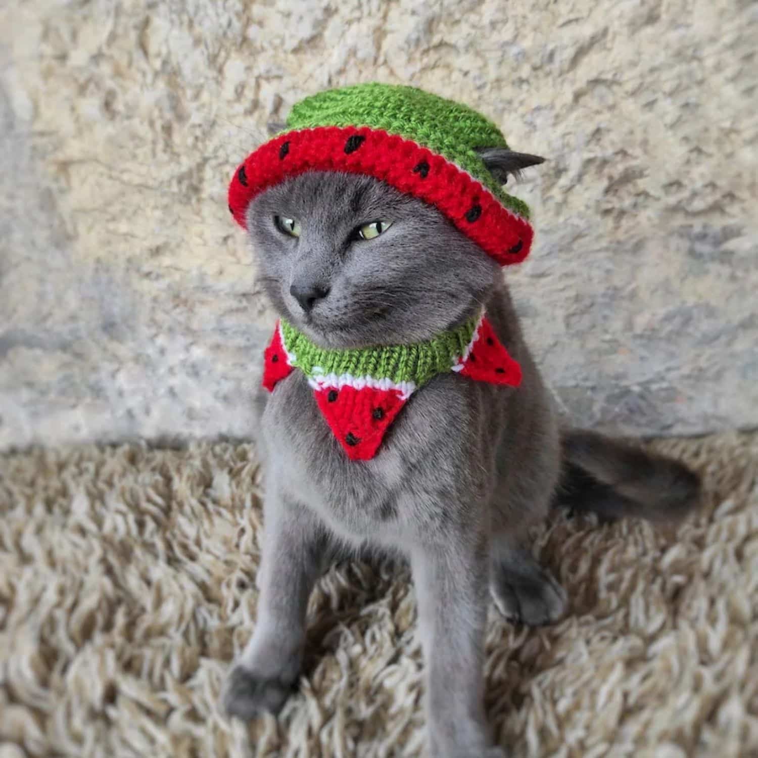 Cat Watermelon Costume