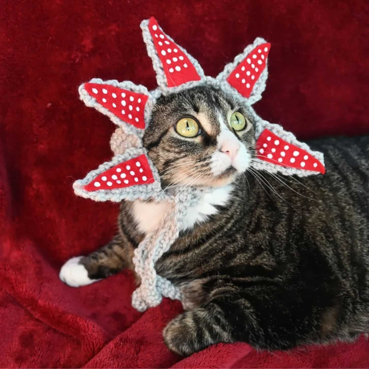 Catogorgon Cat Costume