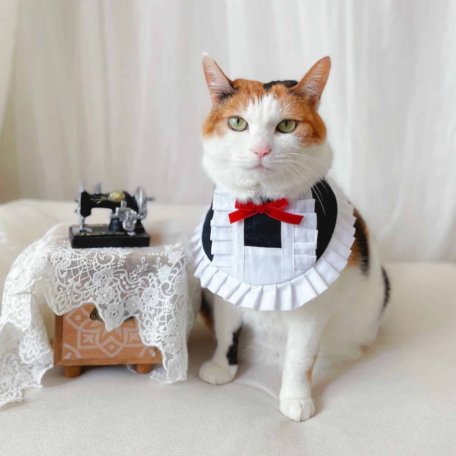 Maid Cat Costume