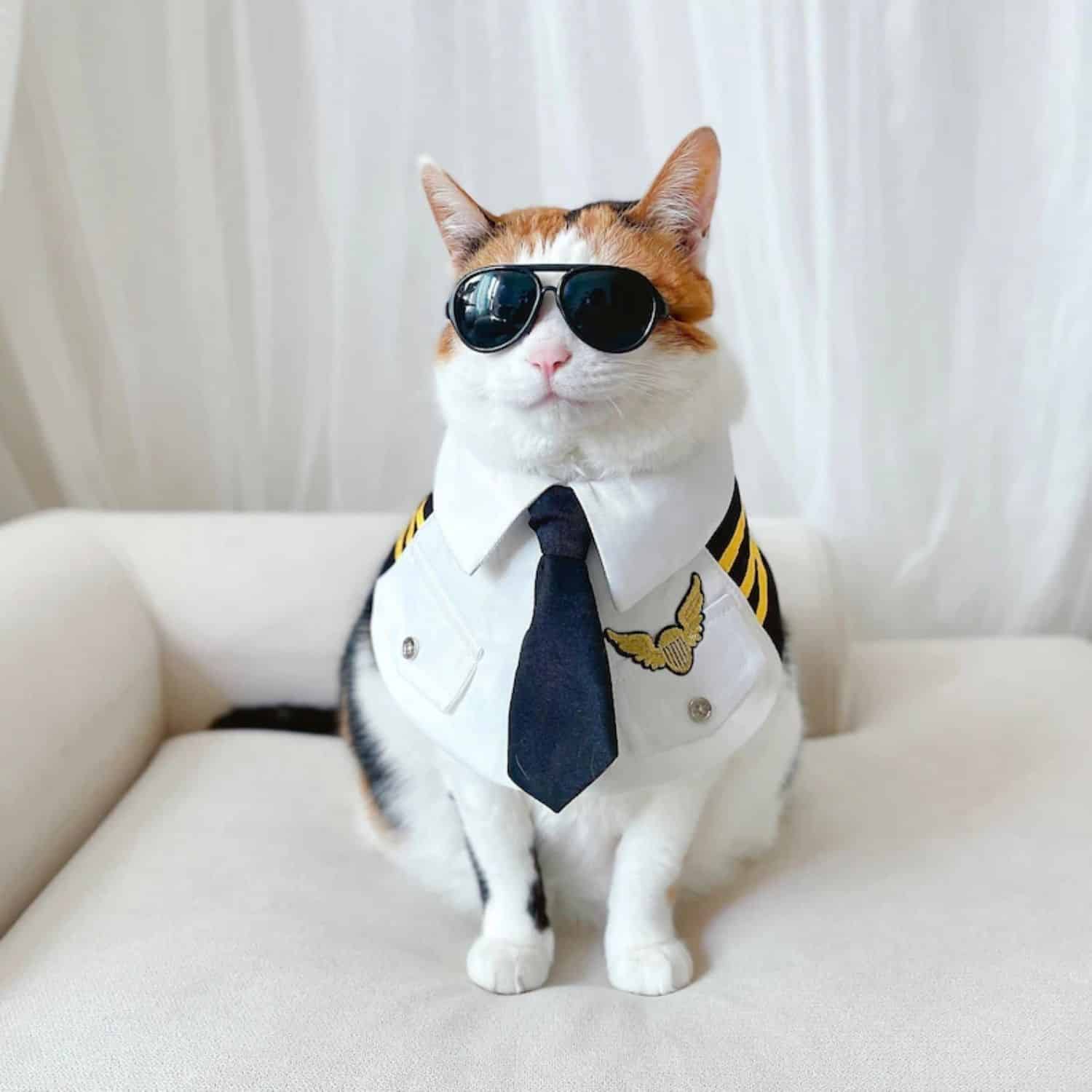 Pilot Cat Costume