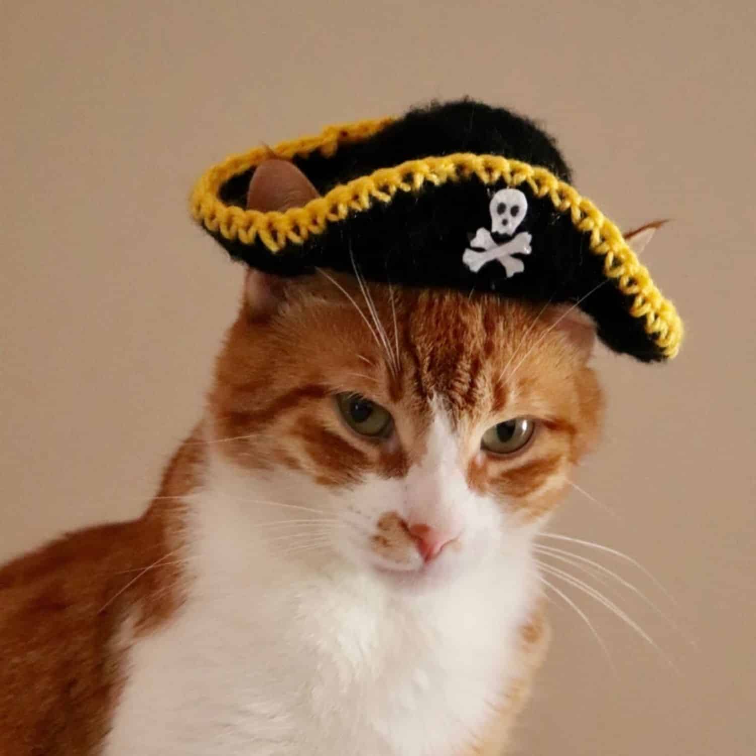 Pirate Cat Costume