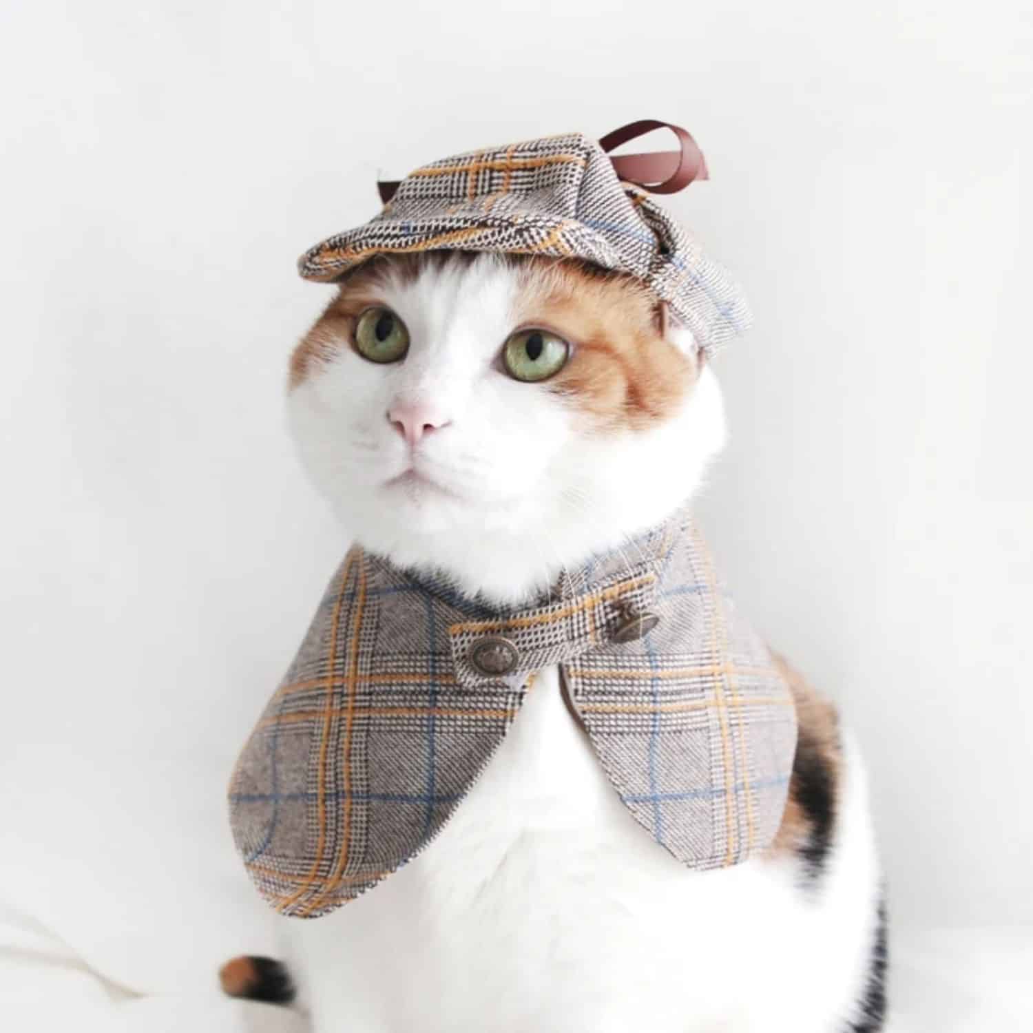 Sherlock Holmes Cat Costume