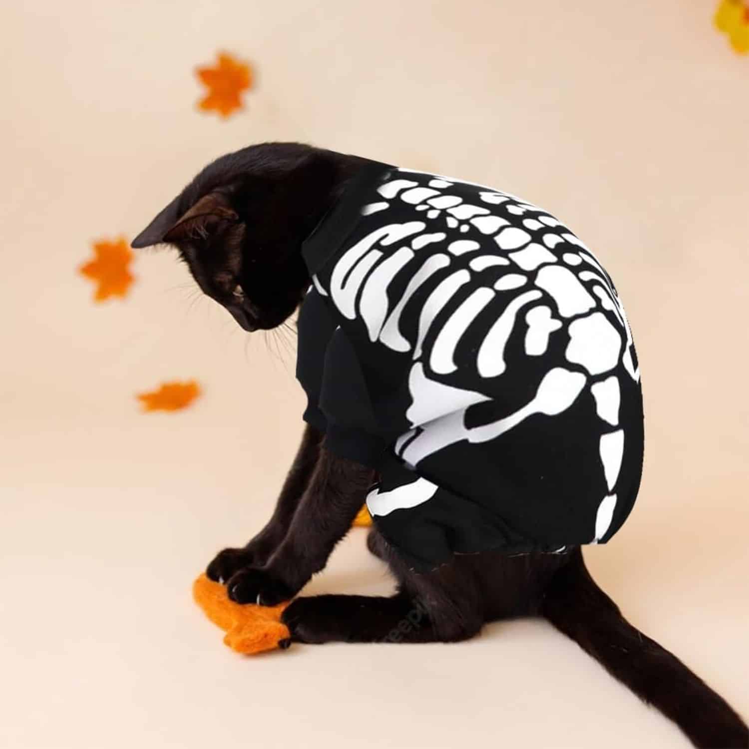 Skeleton Cat Costumes