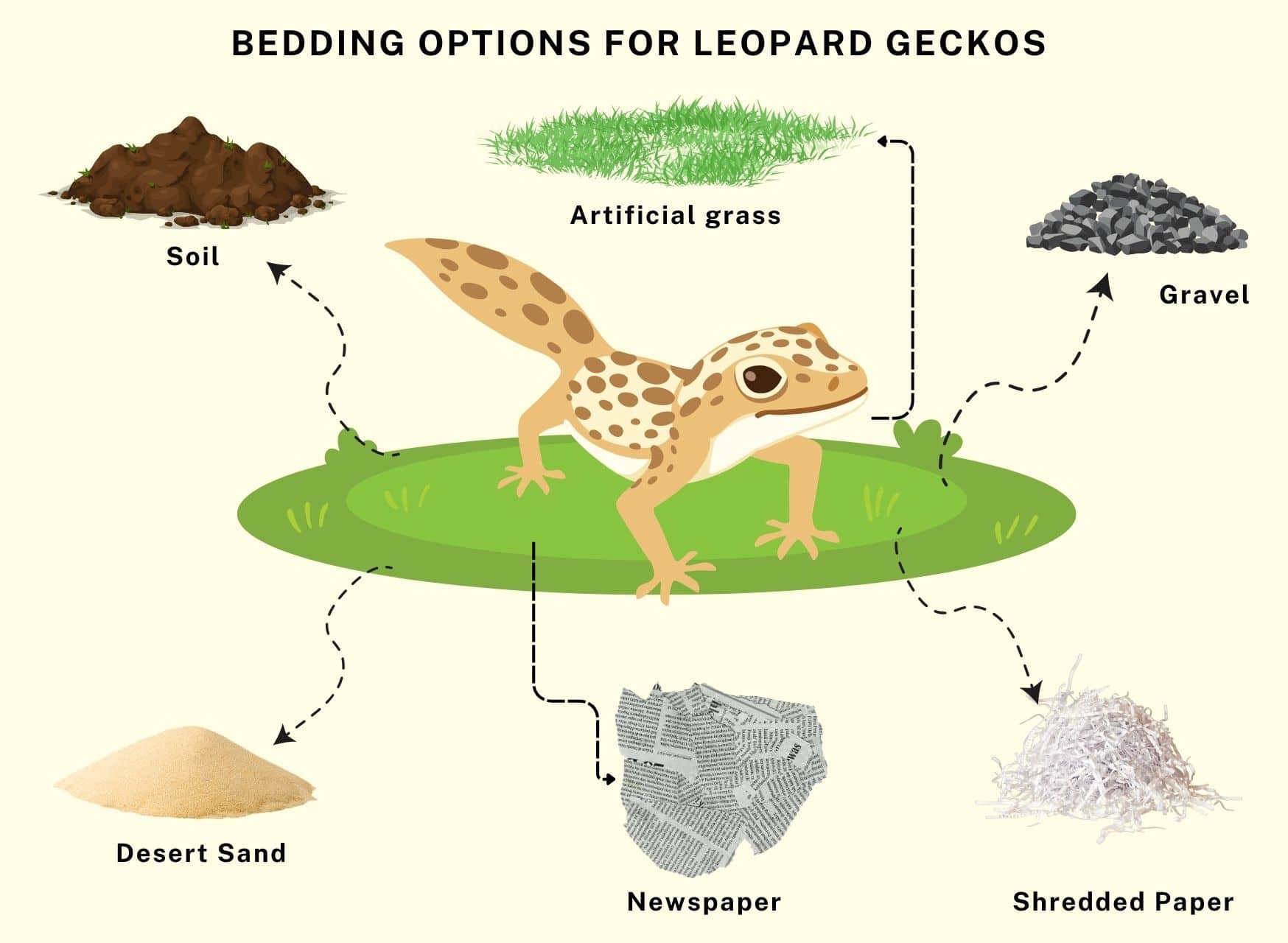 Bedding For Leopard Gecko