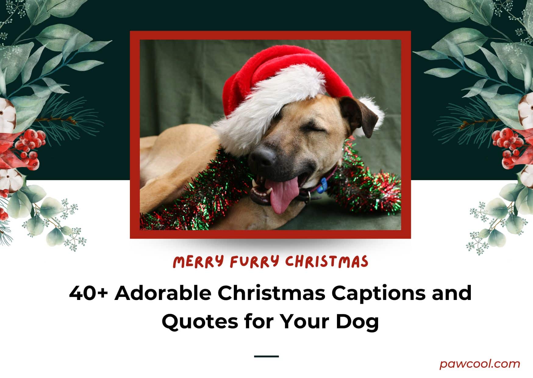Adorable Christmas Dog Captions and Quotes